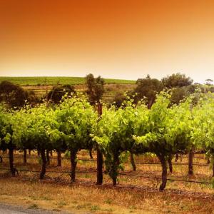 Fleurieu Peninsula